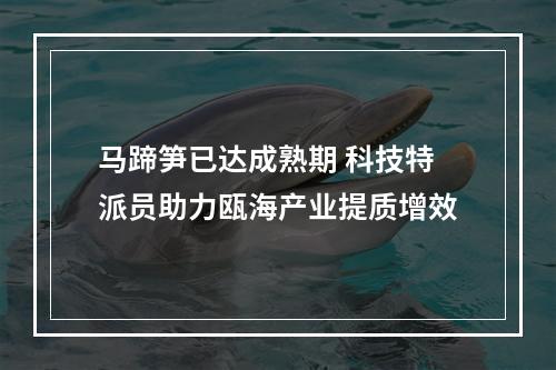 马蹄笋已达成熟期 科技特派员助力瓯海产业提质增效