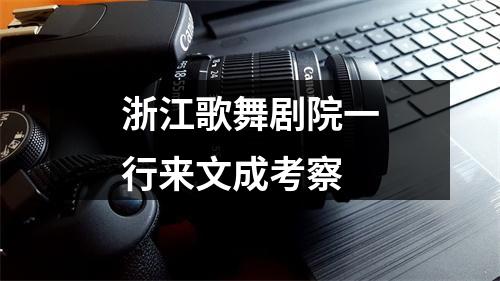 浙江歌舞剧院一行来文成考察