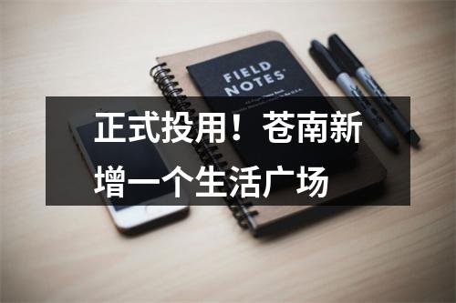 正式投用！苍南新增一个生活广场