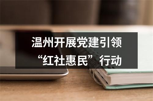 温州开展党建引领“红社惠民”行动