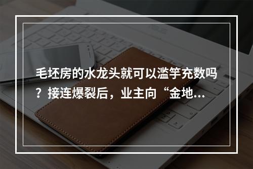 毛坯房的水龙头就可以滥竽充数吗？接连爆裂后，业主向“金地集团”发出灵魂 ...