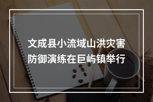 文成县小流域山洪灾害防御演练在巨屿镇举行