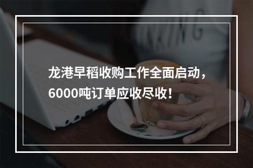 龙港早稻收购工作全面启动，6000吨订单应收尽收！