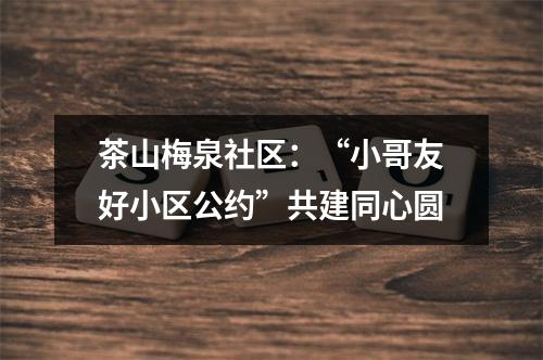 茶山梅泉社区：“小哥友好小区公约”共建同心圆