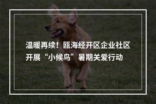 温暖再续！瓯海经开区企业社区开展“小候鸟”暑期关爱行动