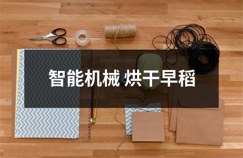 智能机械 烘干早稻