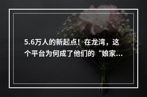 5.6万人的新起点！在龙湾，这个平台为何成了他们的“娘家”？