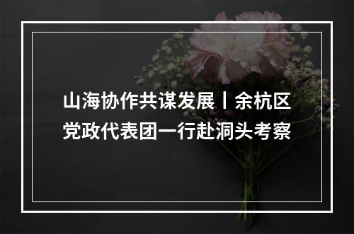 山海协作共谋发展丨余杭区党政代表团一行赴洞头考察