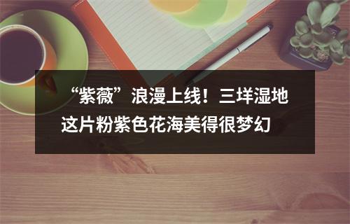 “紫薇”浪漫上线！三垟湿地这片粉紫色花海美得很梦幻