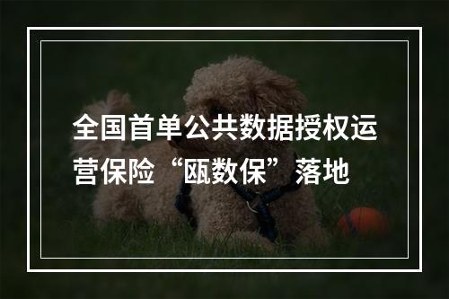 全国首单公共数据授权运营保险“瓯数保”落地