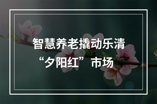 智慧养老撬动乐清“夕阳红”市场