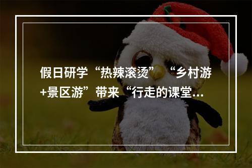 假日研学“热辣滚烫” “乡村游+景区游”带来“行走的课堂”新体验