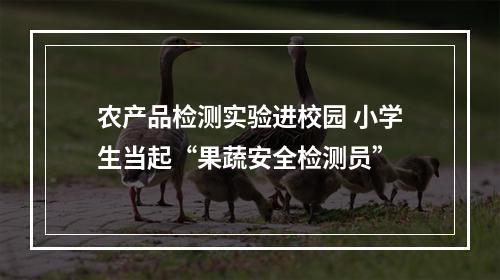 农产品检测实验进校园 小学生当起“果蔬安全检测员”