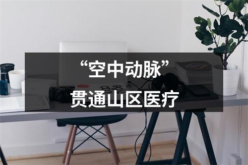 “空中动脉”贯通山区医疗