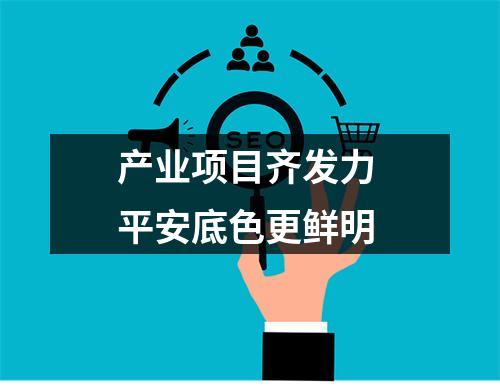 产业项目齐发力 平安底色更鲜明