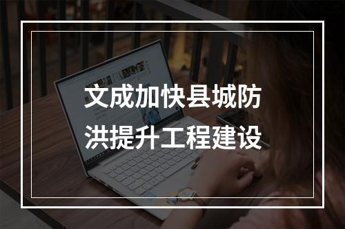 文成加快县城防洪提升工程建设