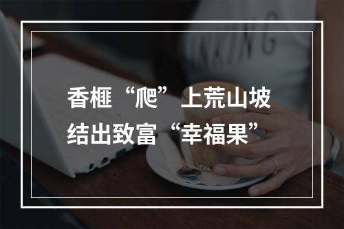 香榧“爬”上荒山坡 结出致富“幸福果”
