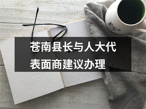 苍南县长与人大代表面商建议办理