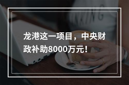 龙港这一项目，中央财政补助8000万元！