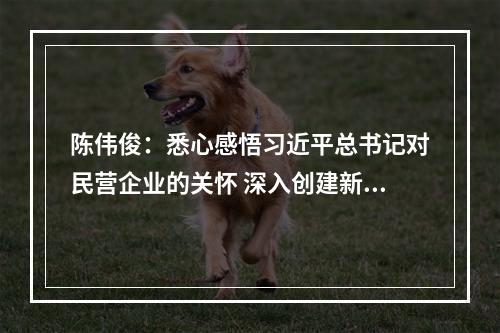 陈伟俊：悉心感悟习近平总书记对民营企业的关怀 深入创建新时代“两个健康”先行区