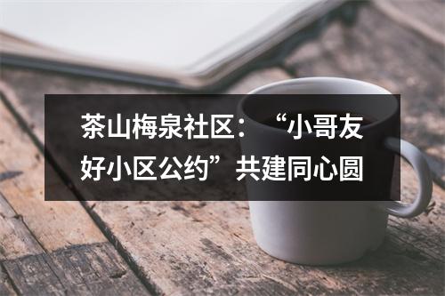 茶山梅泉社区：“小哥友好小区公约”共建同心圆