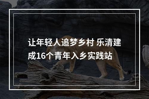 让年轻人追梦乡村 乐清建成16个青年入乡实践站