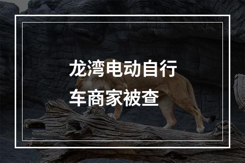 龙湾电动自行车商家被查