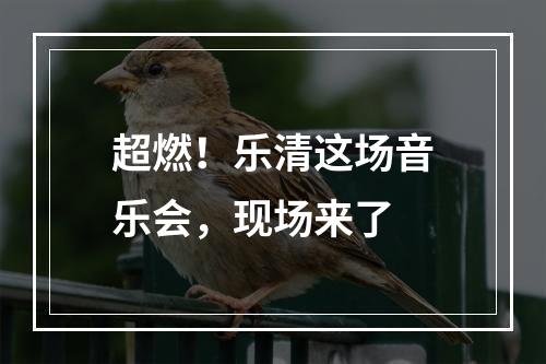 超燃！乐清这场音乐会，现场来了