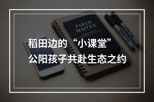 稻田边的“小课堂” 公阳孩子共赴生态之约