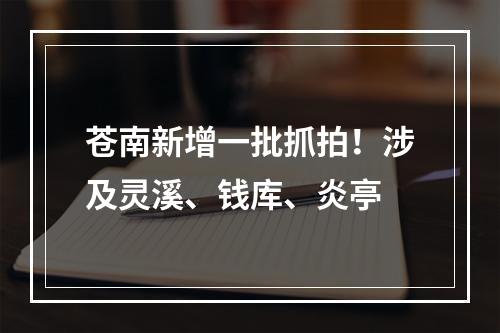 苍南新增一批抓拍！涉及灵溪、钱库、炎亭