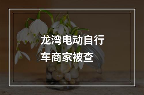 龙湾电动自行车商家被查