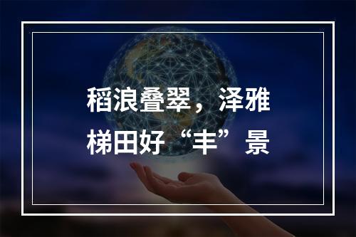 稻浪叠翠，泽雅梯田好“丰”景