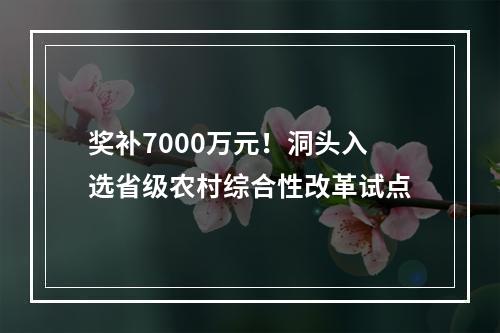 奖补7000万元！洞头入选省级农村综合性改革试点
