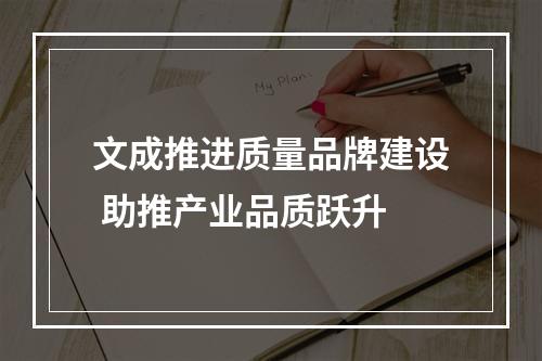 文成推进质量品牌建设 助推产业品质跃升