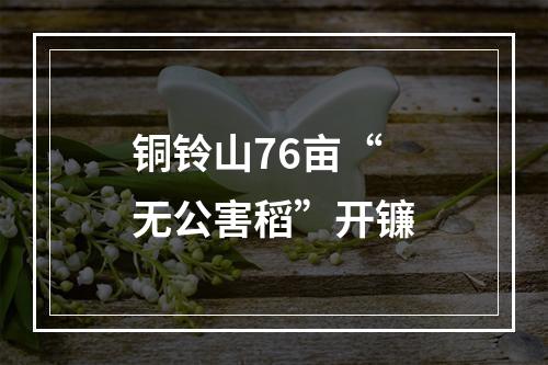 铜铃山76亩“无公害稻”开镰