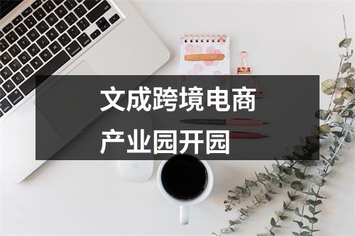 文成跨境电商产业园开园