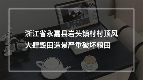 浙江省永嘉县岩头镇村村顶风大肆毁田造景严重破坏粮田