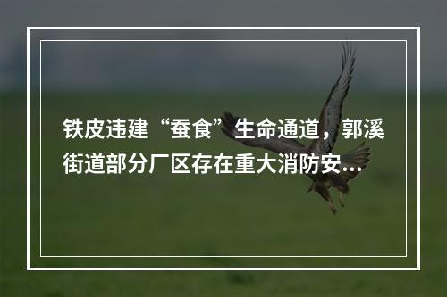 铁皮违建“蚕食”生命通道，郭溪街道部分厂区存在重大消防安全隐患