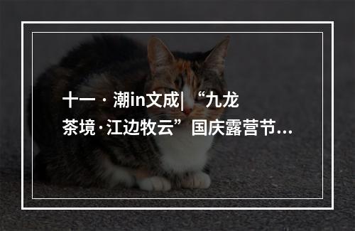 十一 · 潮in文成| “九龙茶境·江边牧云”国庆露营节超好玩