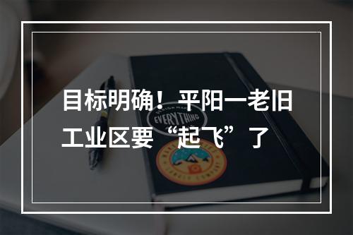 目标明确！平阳一老旧工业区要“起飞”了