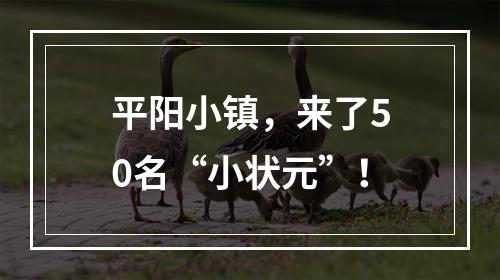 平阳小镇，来了50名“小状元”！