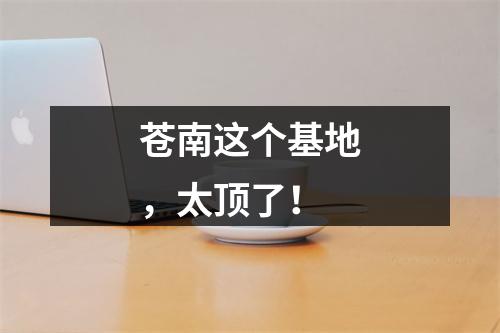 苍南这个基地，太顶了！