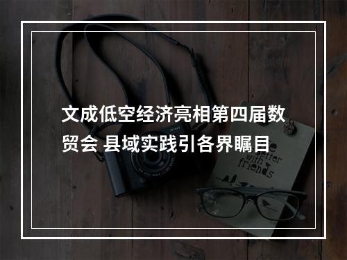 文成低空经济亮相第四届数贸会 县域实践引各界瞩目