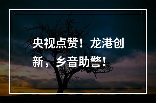 央视点赞！龙港创新，乡音助警！