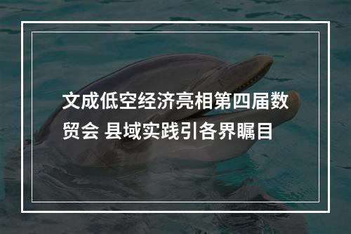 文成低空经济亮相第四届数贸会 县域实践引各界瞩目