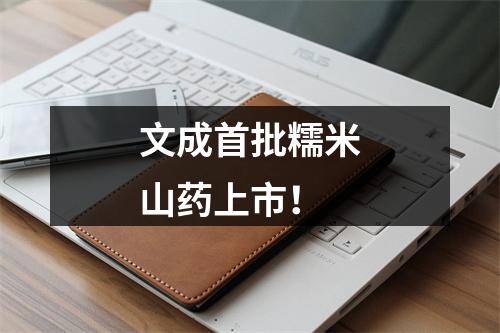 文成首批糯米山药上市！
