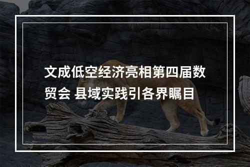 文成低空经济亮相第四届数贸会 县域实践引各界瞩目