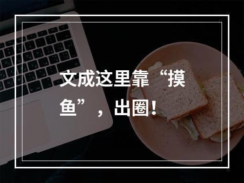 文成这里靠“摸鱼”，出圈！