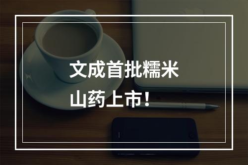 文成首批糯米山药上市！