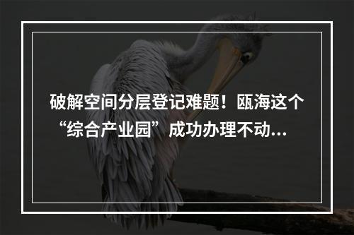 破解空间分层登记难题！瓯海这个“综合产业园”成功办理不动产登记
